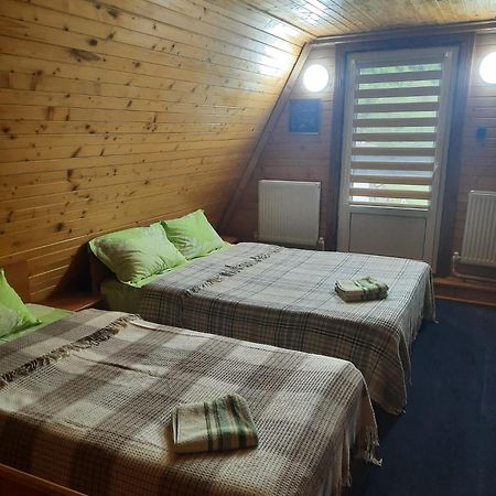 Villa Cabanuta Dan & Alex Cîrţişoara Esterno foto