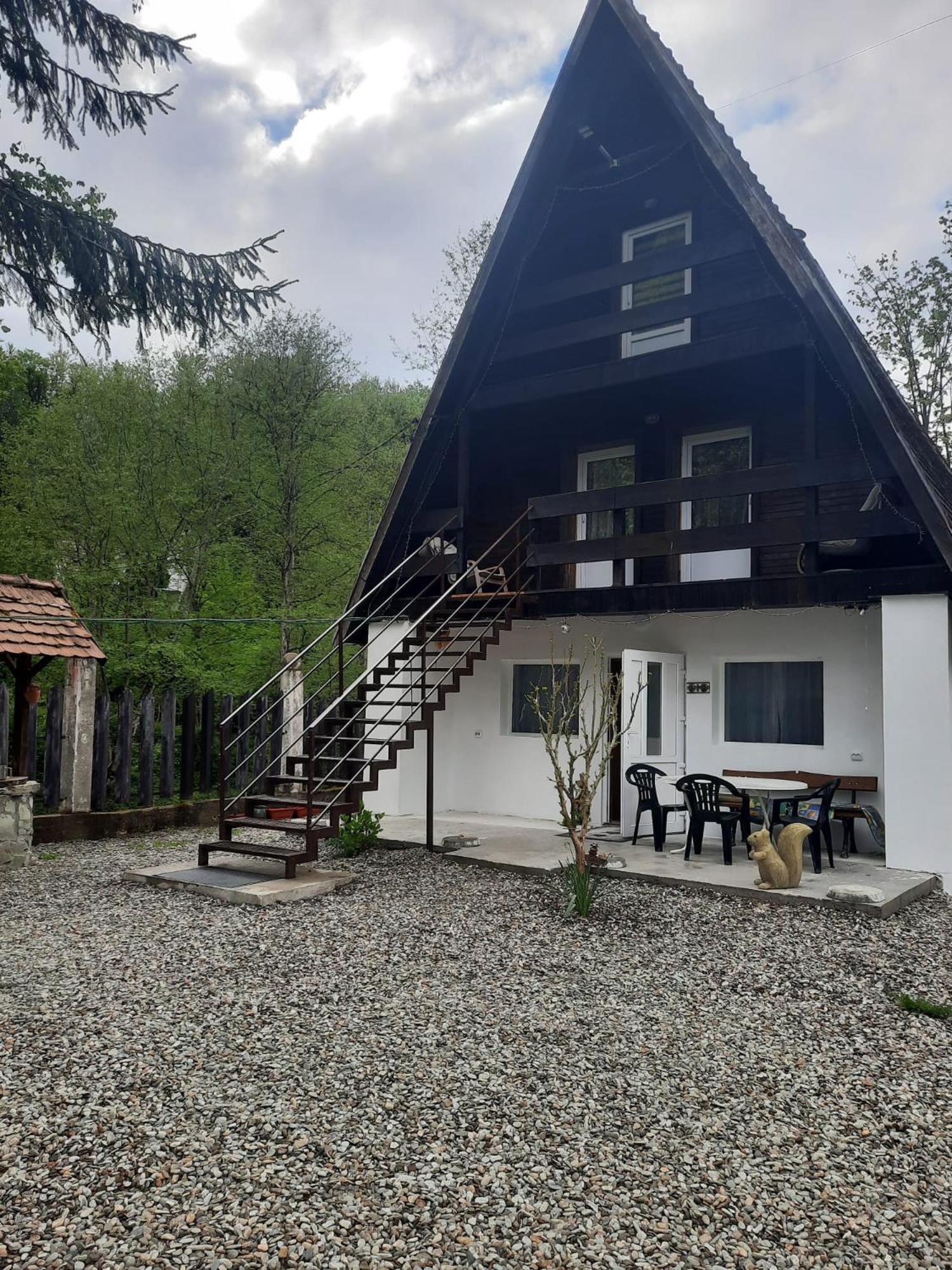 Villa Cabanuta Dan & Alex Cîrţişoara Esterno foto