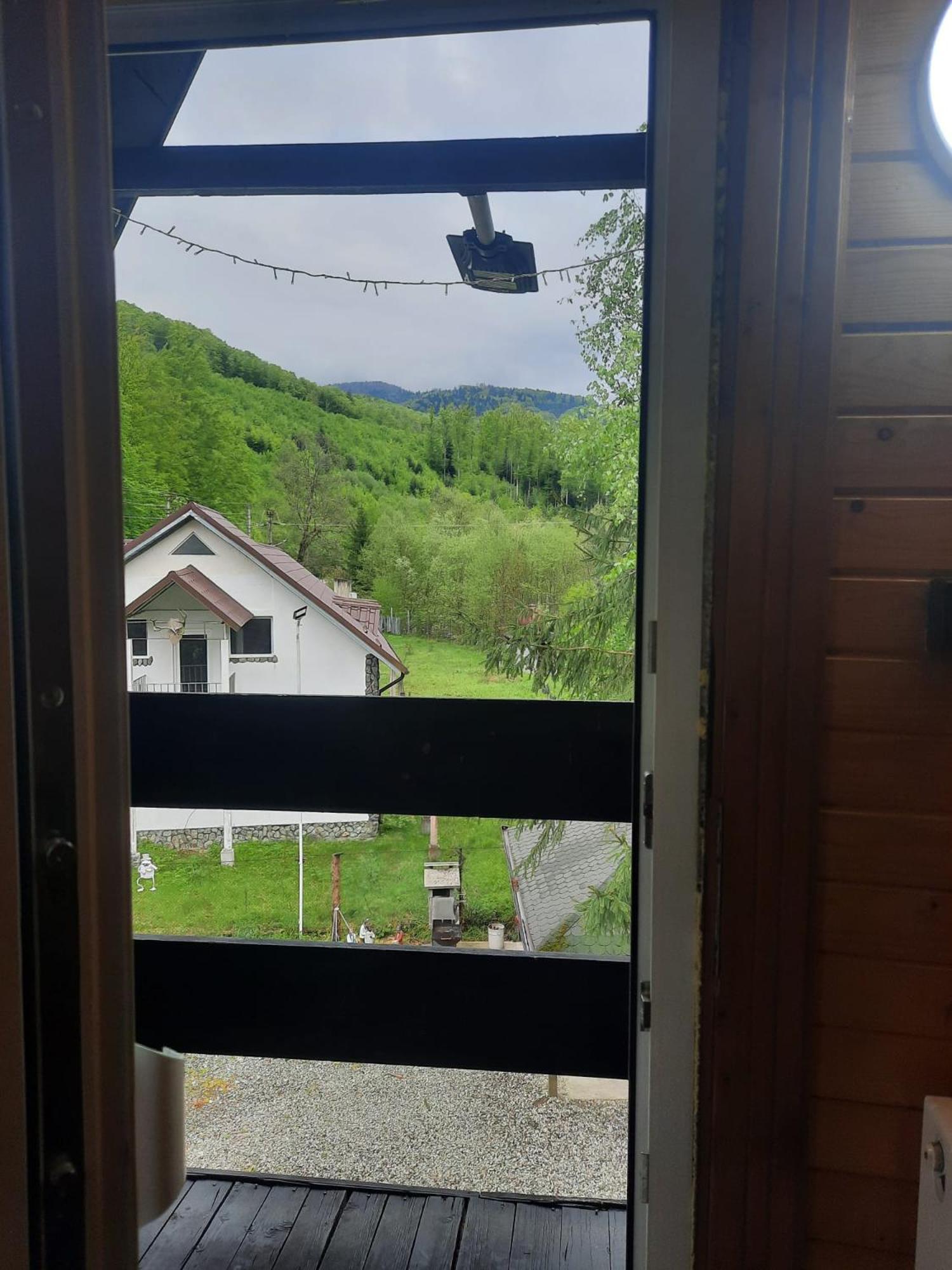 Villa Cabanuta Dan & Alex Cîrţişoara Esterno foto
