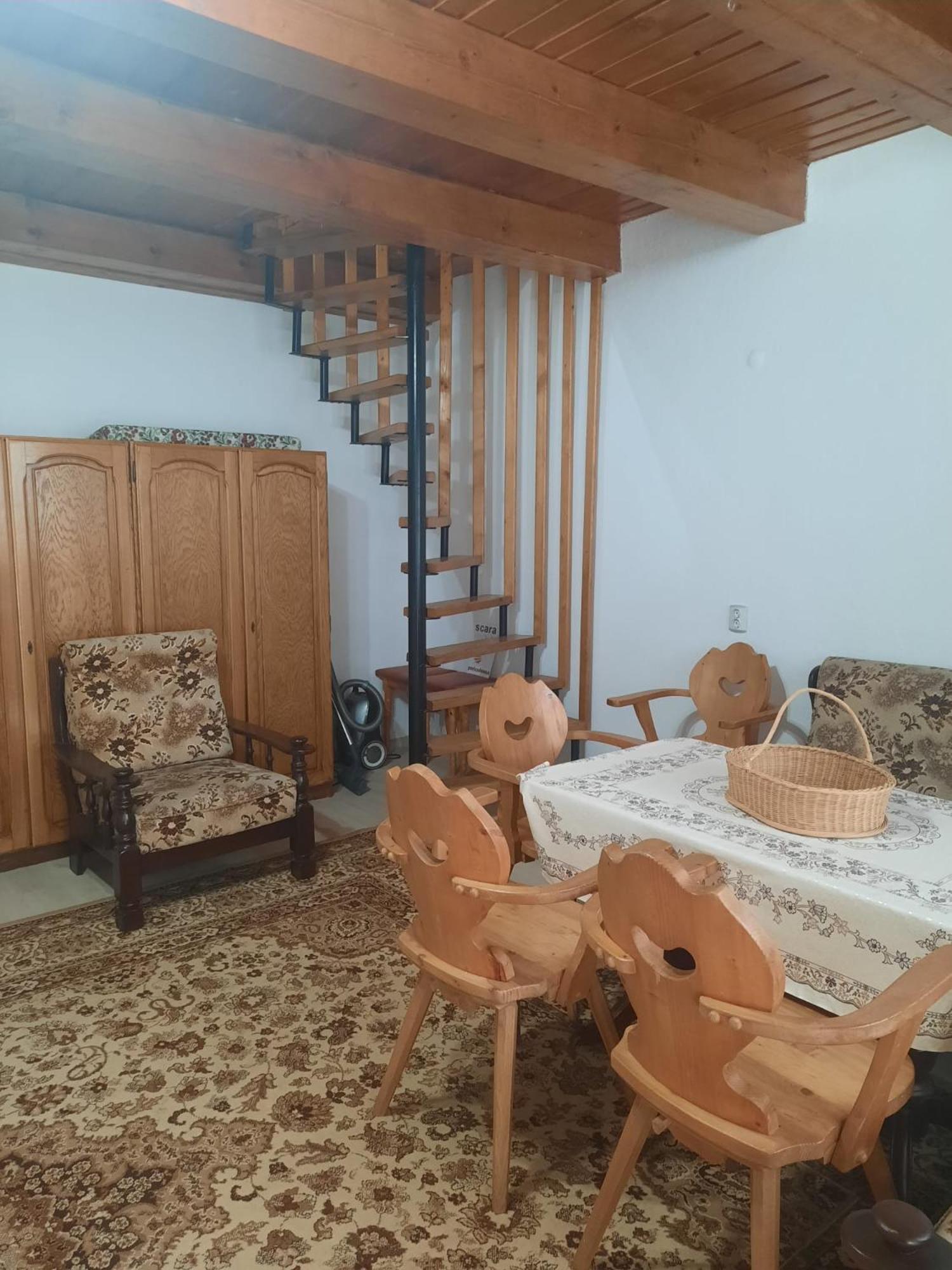 Villa Cabanuta Dan & Alex Cîrţişoara Esterno foto