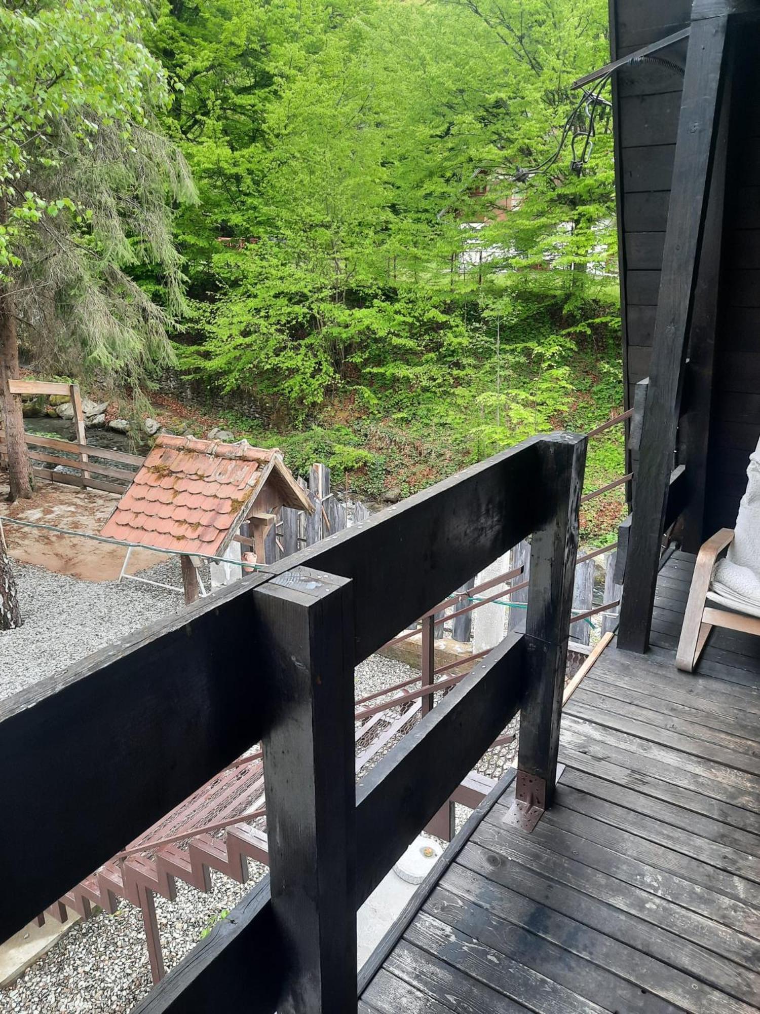 Villa Cabanuta Dan & Alex Cîrţişoara Esterno foto