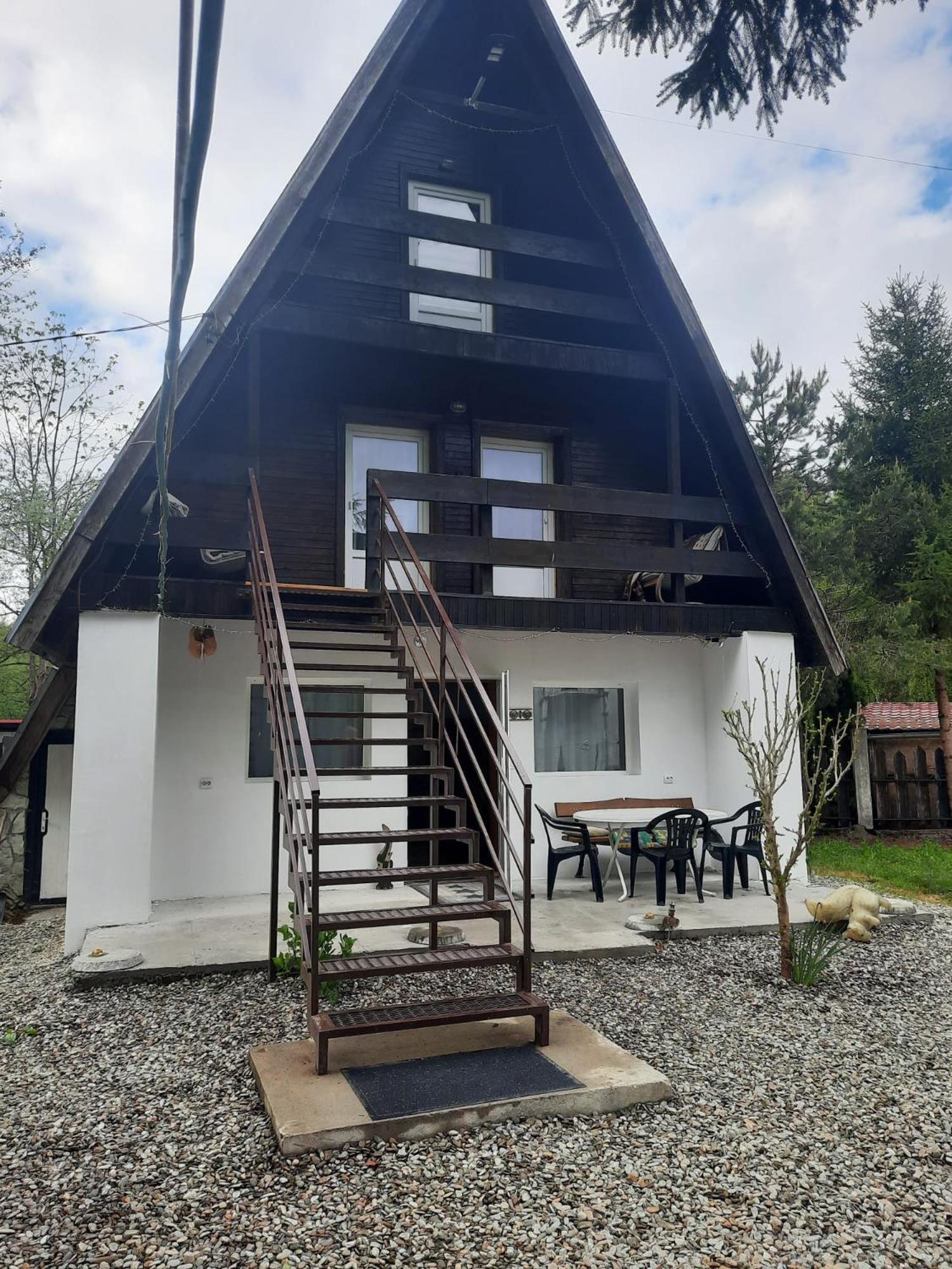 Villa Cabanuta Dan & Alex Cîrţişoara Esterno foto