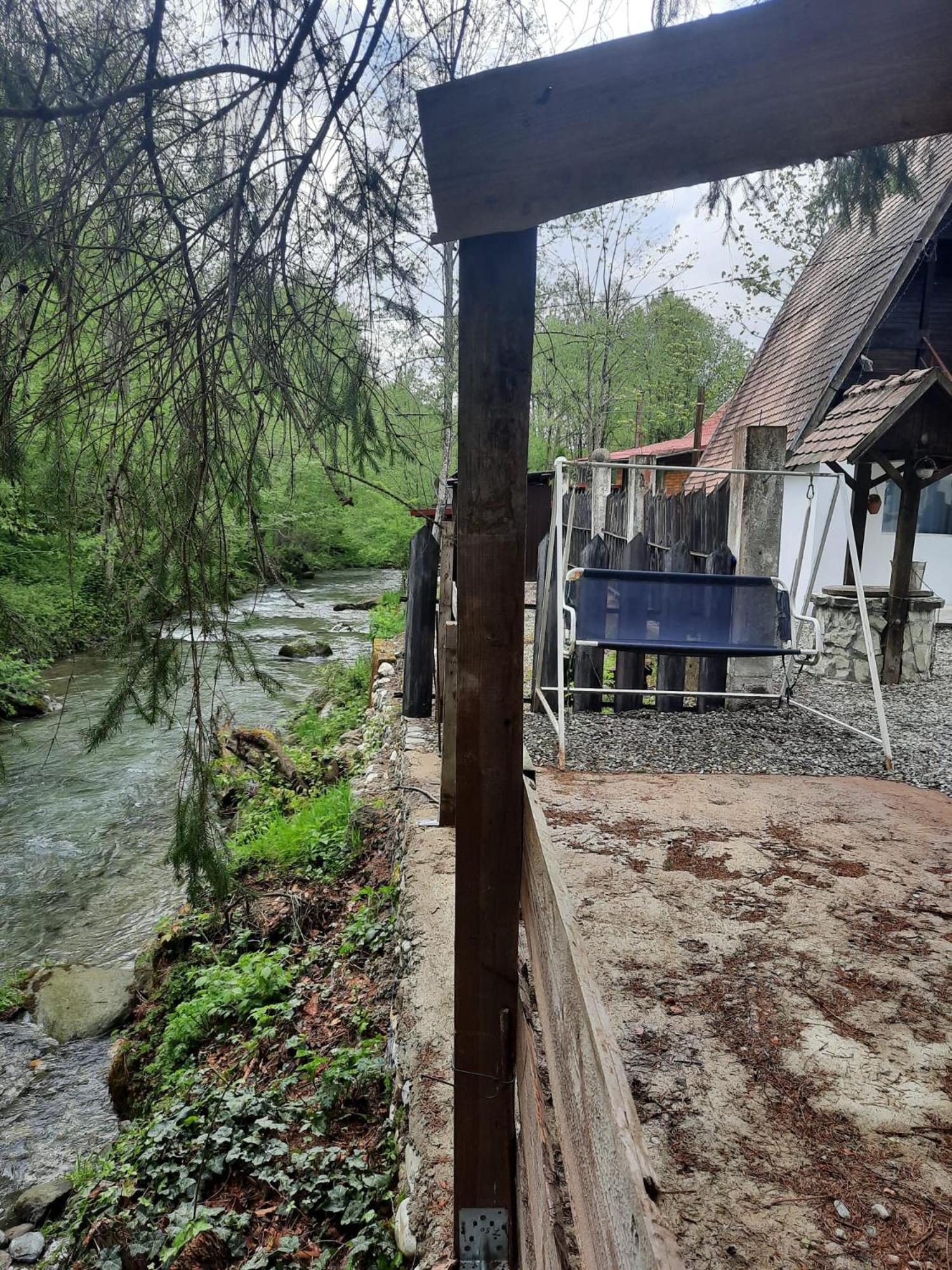 Villa Cabanuta Dan & Alex Cîrţişoara Esterno foto